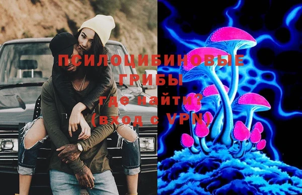 ГАЛЛЮЦИНОГЕННЫЕ ГРИБЫ Арсеньев