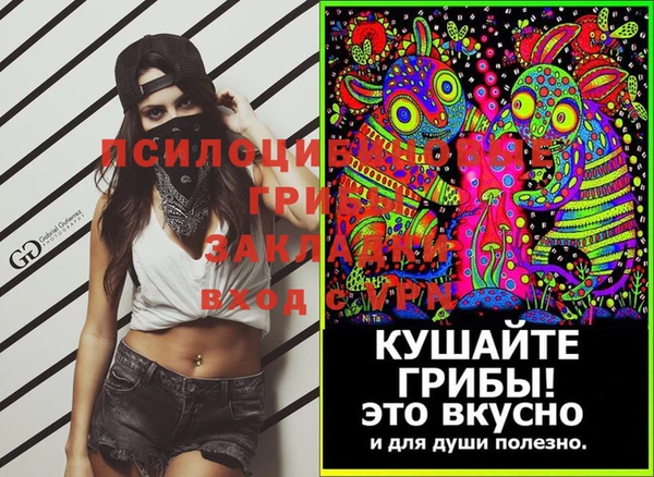 гашик Аркадак