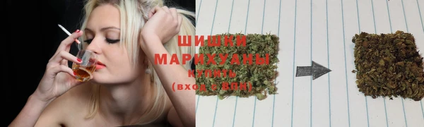 ГАЛЛЮЦИНОГЕННЫЕ ГРИБЫ Арсеньев
