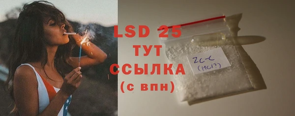 ГАЛЛЮЦИНОГЕННЫЕ ГРИБЫ Арсеньев
