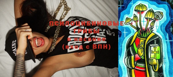 ГАЛЛЮЦИНОГЕННЫЕ ГРИБЫ Арсеньев