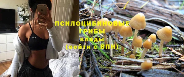гашик Аркадак