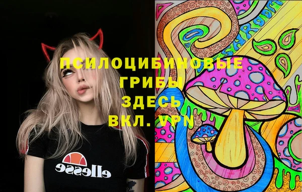 ГАЛЛЮЦИНОГЕННЫЕ ГРИБЫ Арсеньев