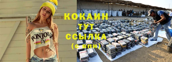 гашик Аркадак