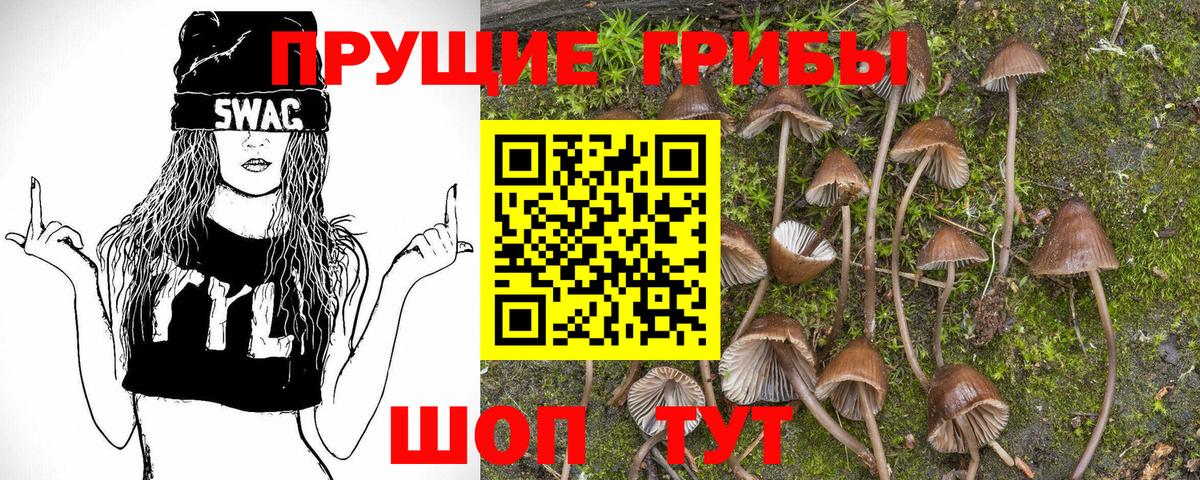 Аша  Галлюциногенные грибы Psilocybe  Вход с VPN 